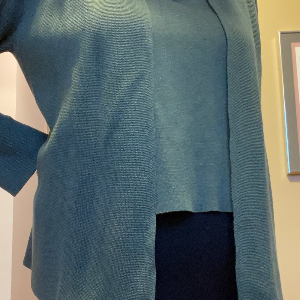 Eileen Fisher Sweater set  - Petite Large